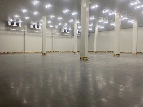 貨運物流中的信譽與專業(yè)服務(wù) 化工品、冷鏈整車與零擔(dān)運輸解析
